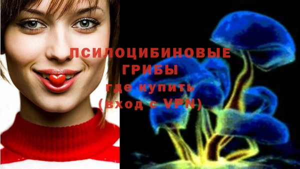 прущий лед Аркадак