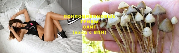 спиды Арсеньев